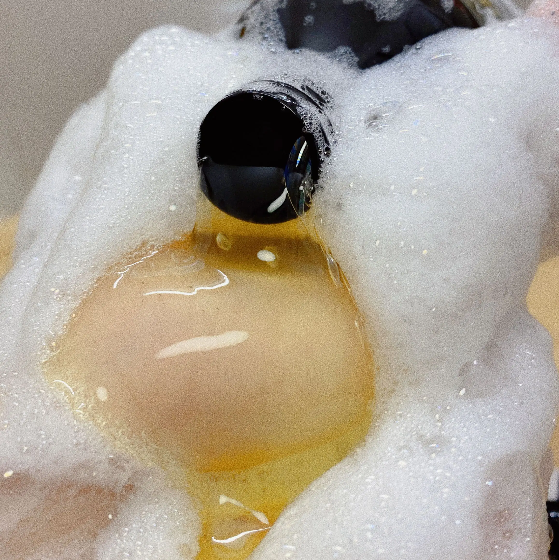 Private Label OEM Ginger long hair growth Shampoo Nature Organic african hair shampoo conditioner