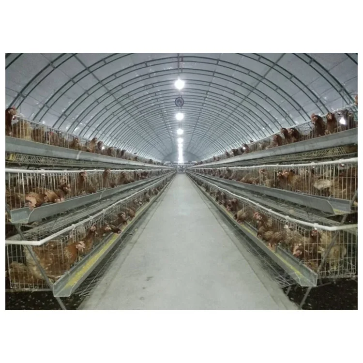 Galvanized Steel Chicken Coop House Modern Tent Poultry Building