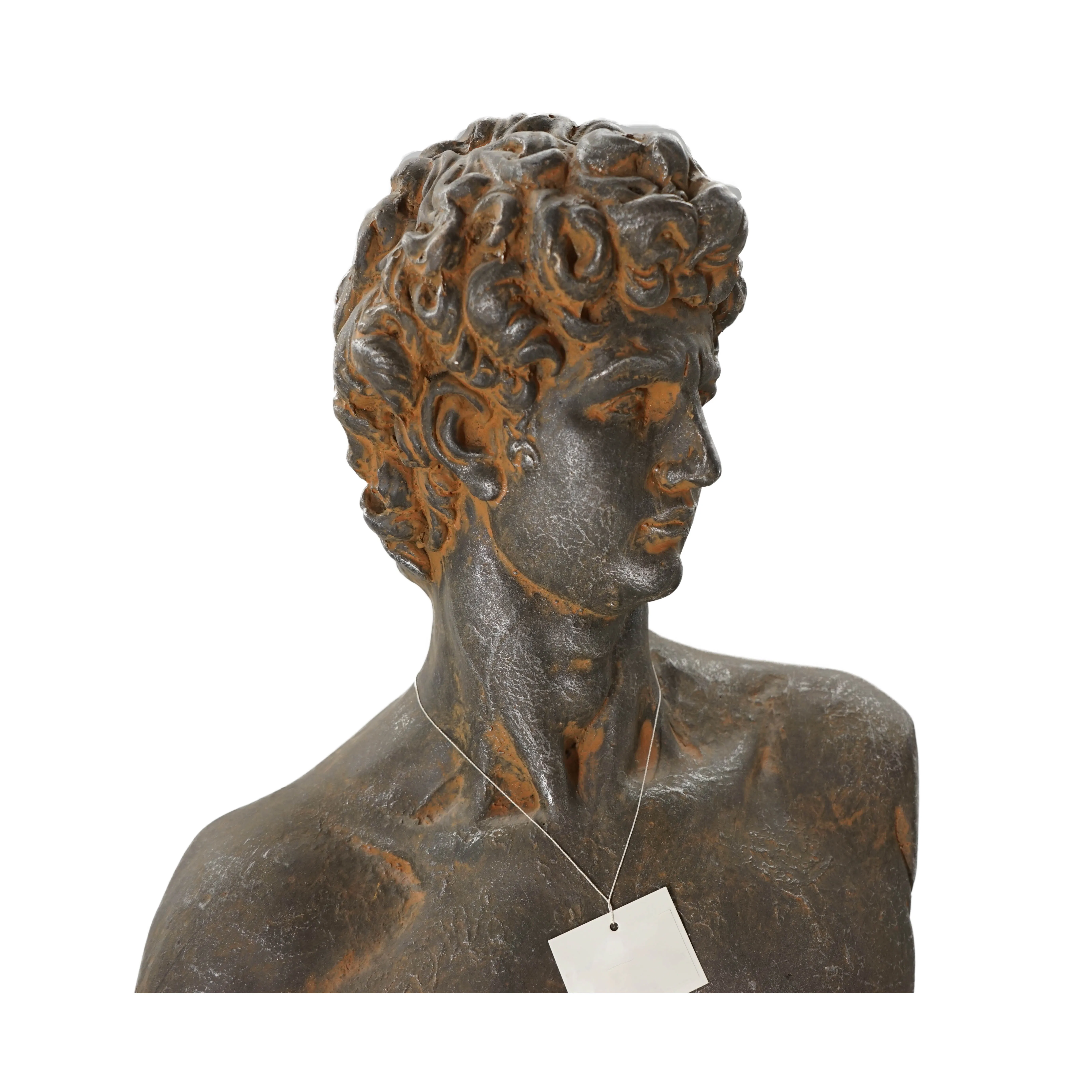 Nordic David Head Portraits Greek Mythology MGO Bust And Statue MGO Figurines Of Greek Mythological Figures