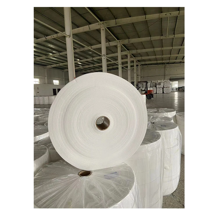 2023 Biodegradable Polypropylene Non Woven Fabric Laminated Spunbond Nonwoven Cloth Fabric