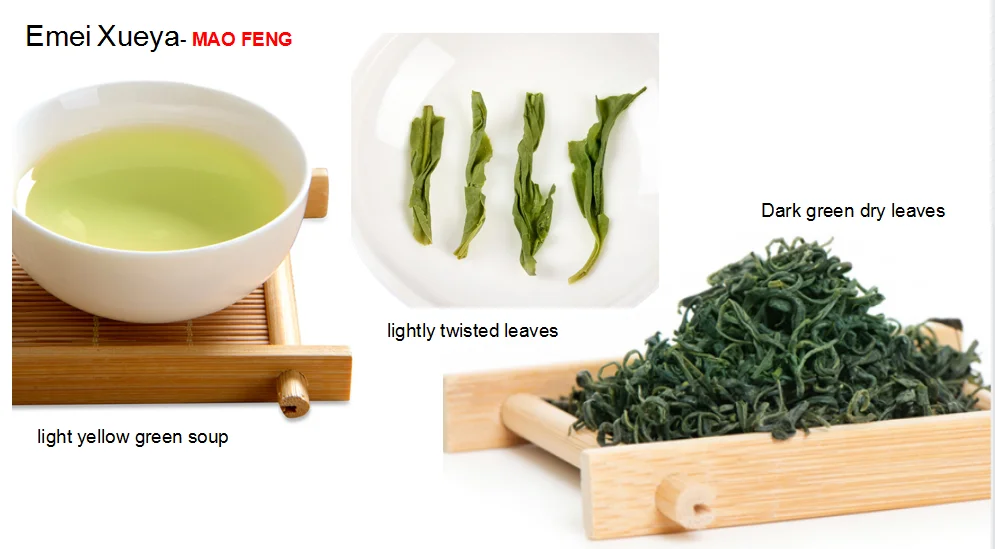 Best Chinese tea gift import tea bulk famous brand Emei Xueya Certificated mao feng whole leaves caffeinated full leaf green tea