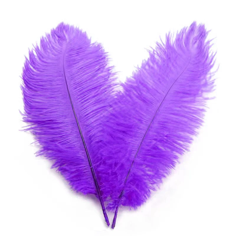 South africa bird Real orange art carnival costume Large feathers 35-40cm Plume millinery White ostrich Feather