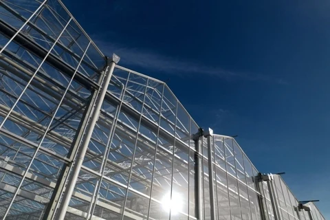 Chinese Agricultural Greenhouse Multi-Span Garden Glass Greenhouse