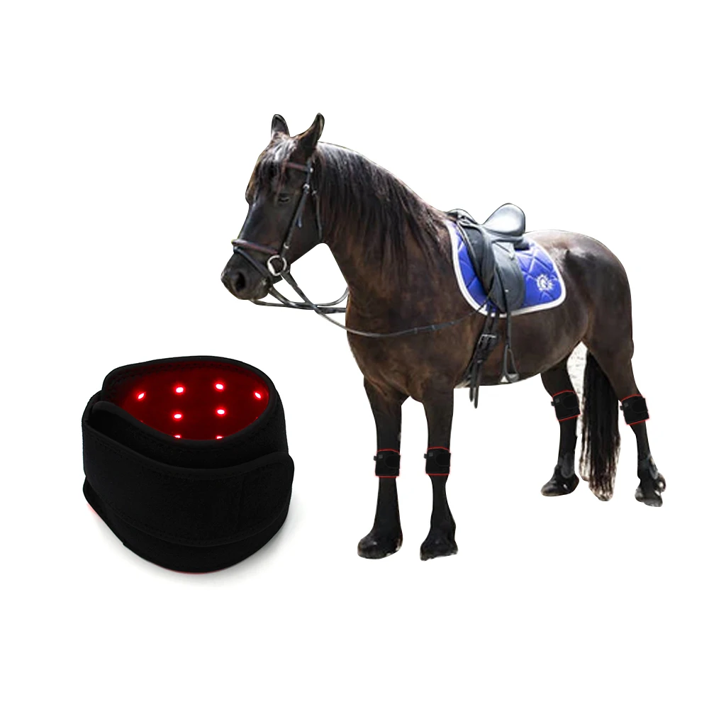 New Coming Portable 660nm 850nm Horse Red Light Therapy Machine LED Red Light Infrared Therapy Knee For Horse