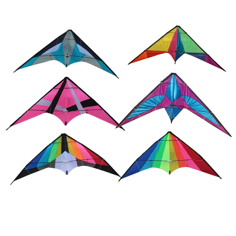 
Yongjian 2020 Dual Line Easy flying Custom Printed outdoor playing training leaf kite albatross stunt kite From Weifang 