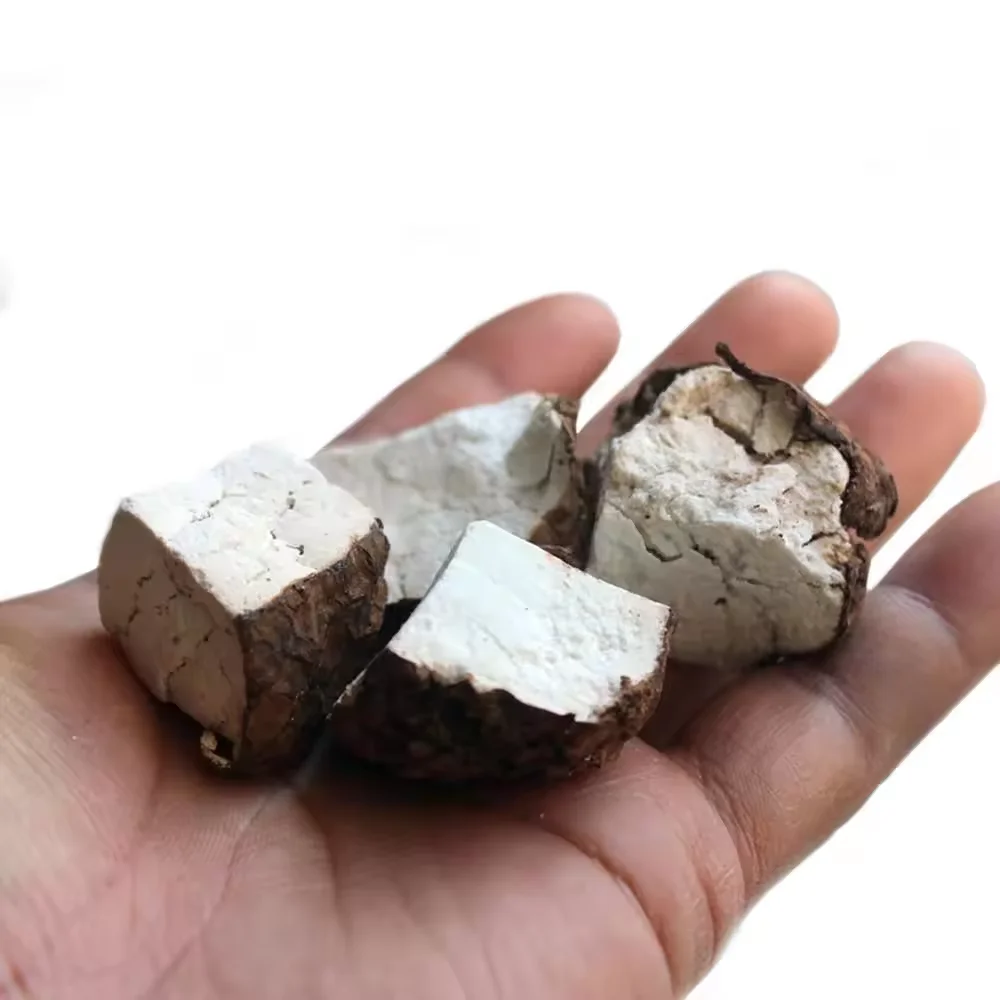 QINSHANTANG натуральный органический экстракт 10:1 Poria Cocos Wolf полисахариды 10% 30% poria cocos порошок