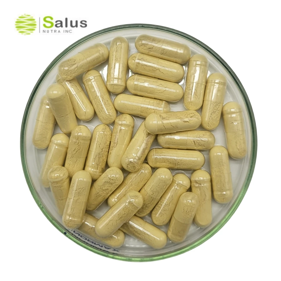 St Johns Wort Capsules Supplement ISO22000 and HALAL Certified Products