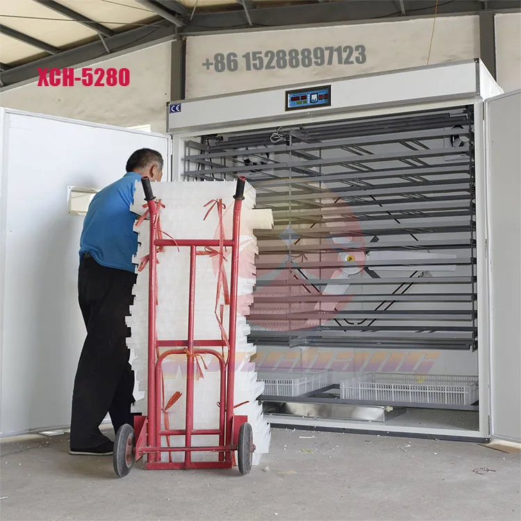 In Dubai Price Running For 220 V Automatic Egg Incubator Dc Small Cheapest