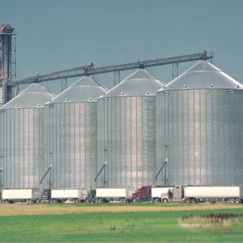 5000ton Grain Storage Silos for Flour Mill