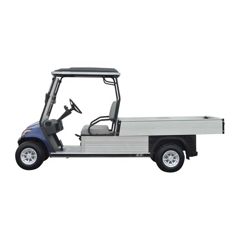 New Style 2 Seater Battery Cargo Vehicle (DC-A827. H8)