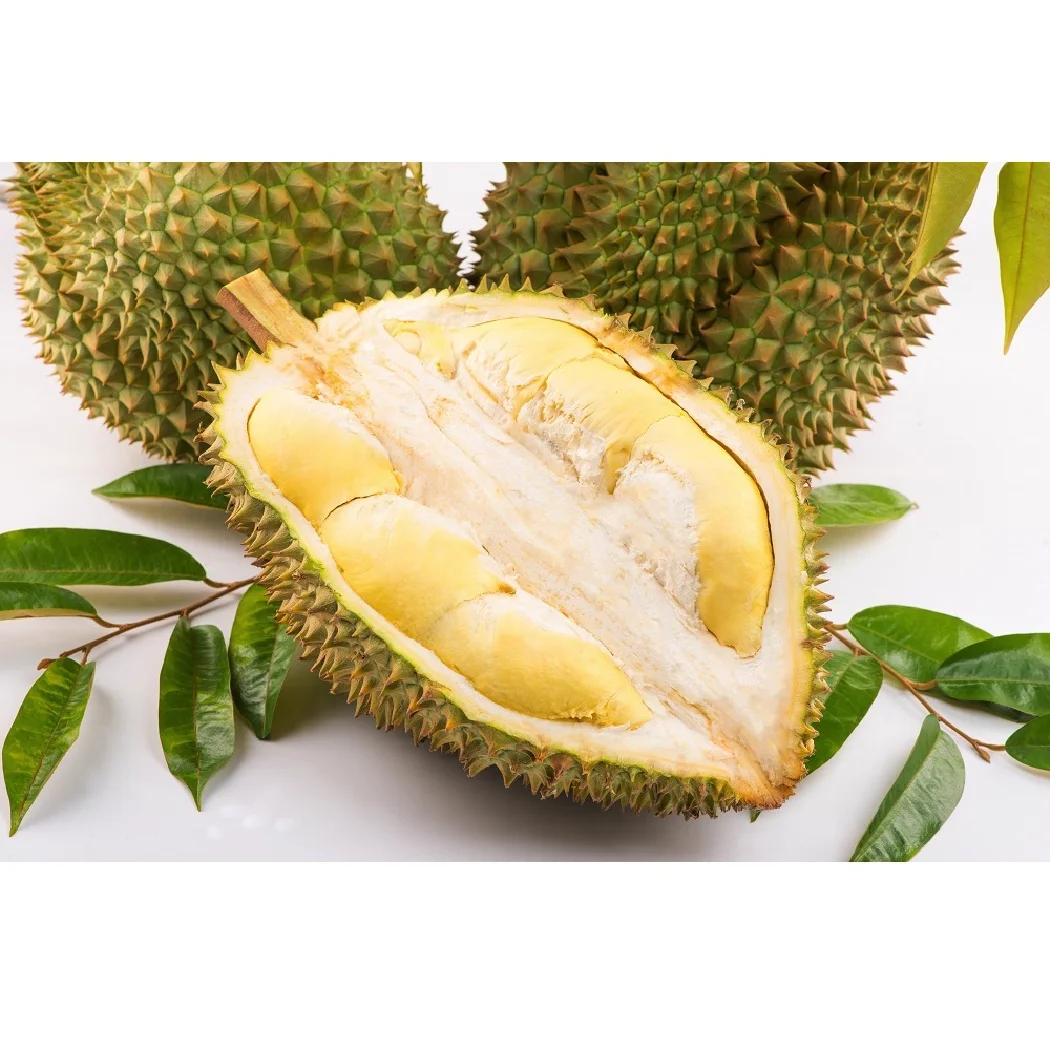 Frozen Durian - Viet Nam Organic Durian from Non-GMO farmers WhatsApp +84988667319