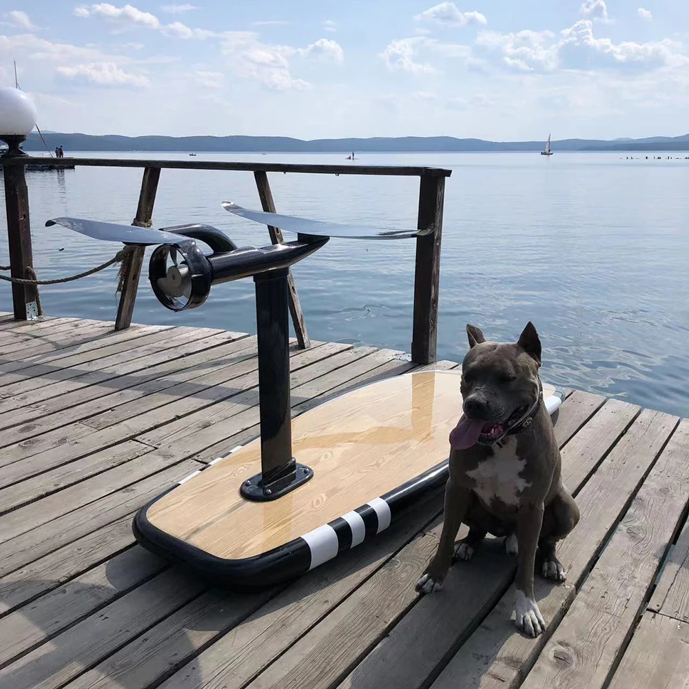 BESTEVE Unisex Carbon Fiber Hydrofoil Surfboard High Quality Electric Jet Foil+Board for Ocean Waters Sports Customizable Kayak