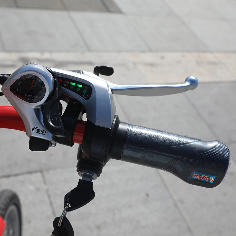 CE approved cargo pedelec bicycle taxi e Rickshaw electric pedicab electric toto rickshaw