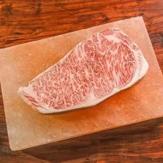 Top Selling Himalayan pink salt plate for BBQ Cooking  Himalayan salt brick tile for kitchen use OEM gift packing available