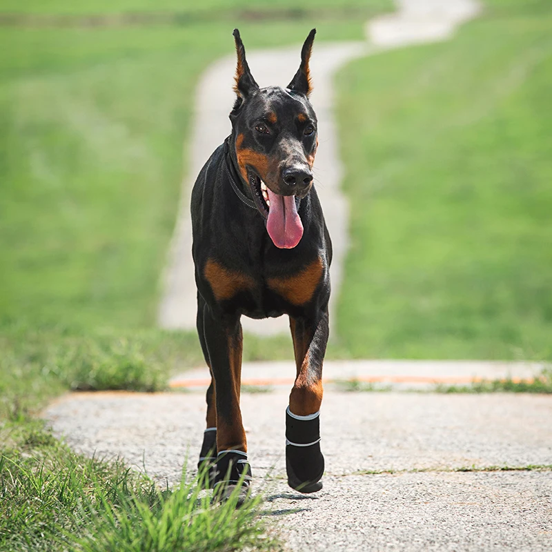 Wholesale hot selling Dog Shoes Waterproof Dog Paw Protection Pads Anti Slip Shoes For Dog Disposable Pet Shoes