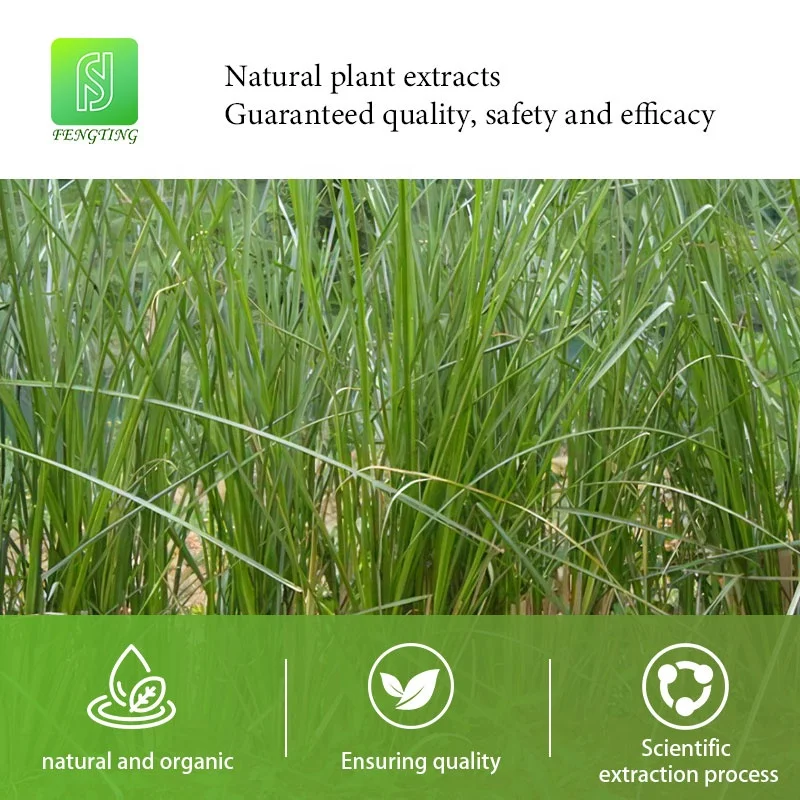 Aromatherapy Diffuser 100% Pure Natural Plant Extract 10ml Therapeutic Grade Skin Care Organic Vetiver Essential Oil