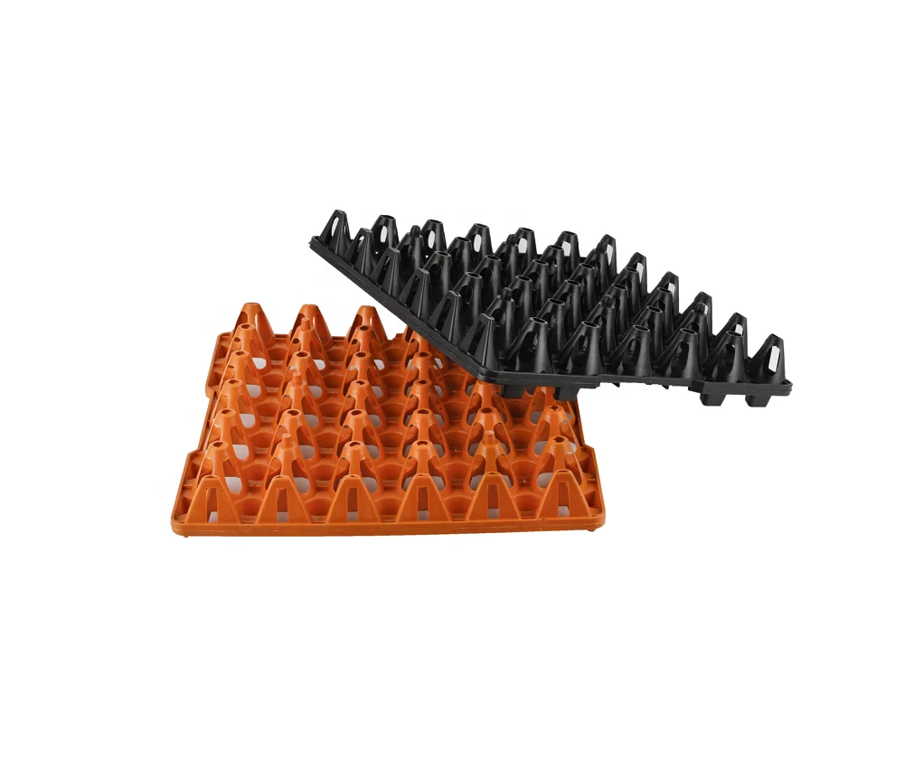 Индивидуальный одобренный пластиковый лоток для яиц в блистере, индивидуальный складной одноразовый прозрачный