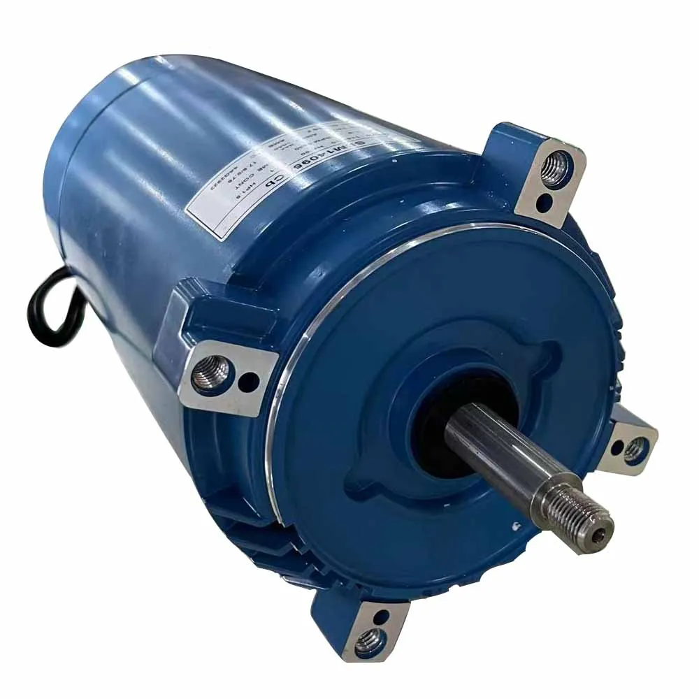 Honest Factory Hayward Pentair Supply single Phase 50Hz 750w AC Electric Motor For Swimming Pool Pump//