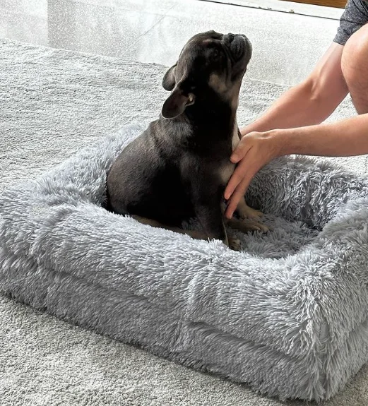 High Quality Orthopedic Pet Bed Winter Velvet Nest Cooling Feature Memory Foam Square Boucle Cover Solid Animal Dogs Cats