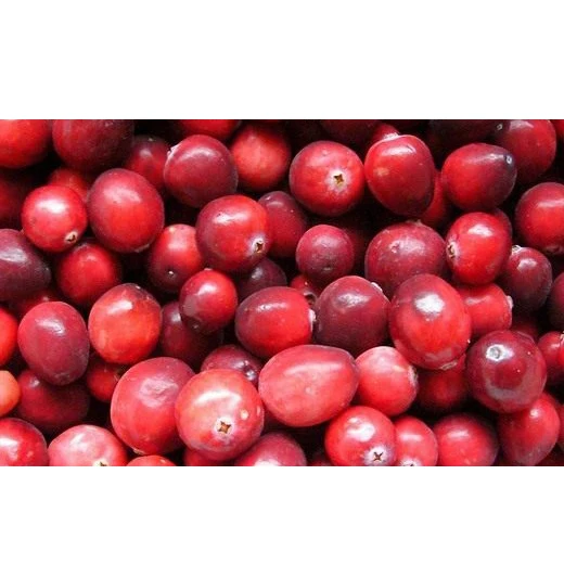 Eco-friendly Box Packaging GOST Standard Fresh/Frozen Cranberry Grown in Soughs and Hard-To-Reach Spots