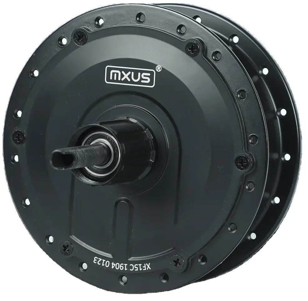 Hit Electric Bicycle 250w350w500w  Cassette Wheel Hub Motor for Sale Power Gear