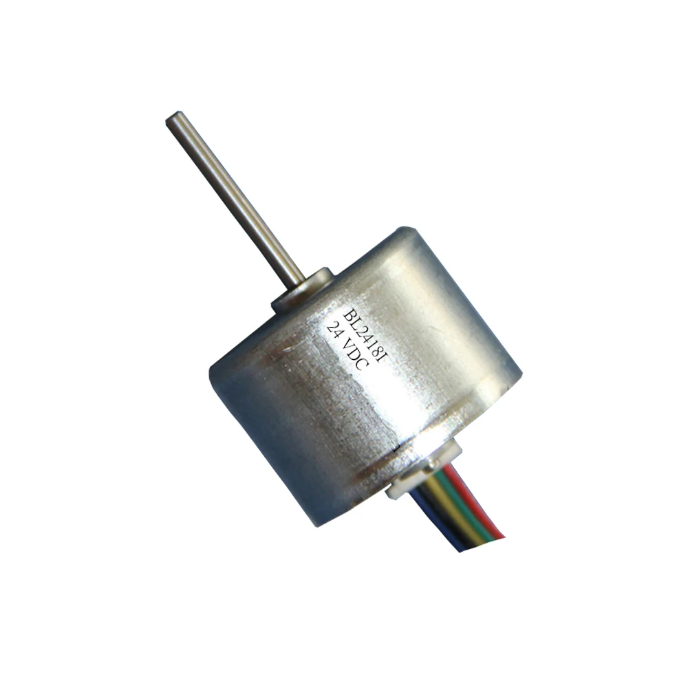 hot sale Diameter 24MM length 18mm high torque  low speed dc micto brushless electric motor for pump