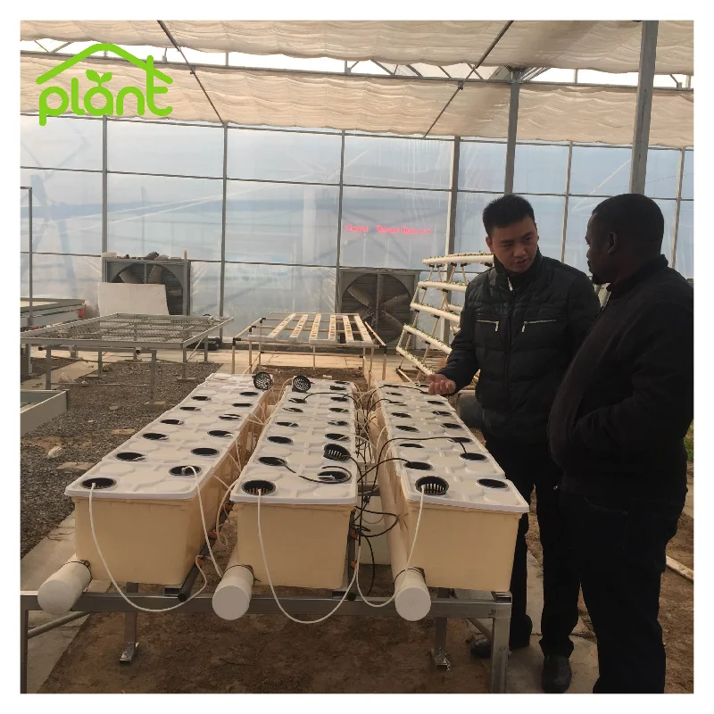 High Quality Hydroponic Growing System Greenhouse Dutch Bucket Dutch Barrels