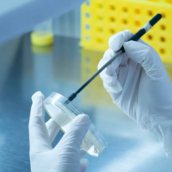 Competitive Price High Performance  Mach1-T1 Chemically competent cells