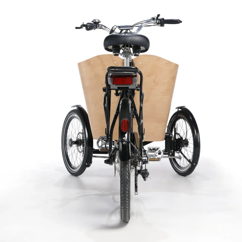 Pedal Tricycle for Adult Three Wheels Cargo Bike Family 6 Gear Speeds Drift Trike for Grocery Shopping and Children Transport