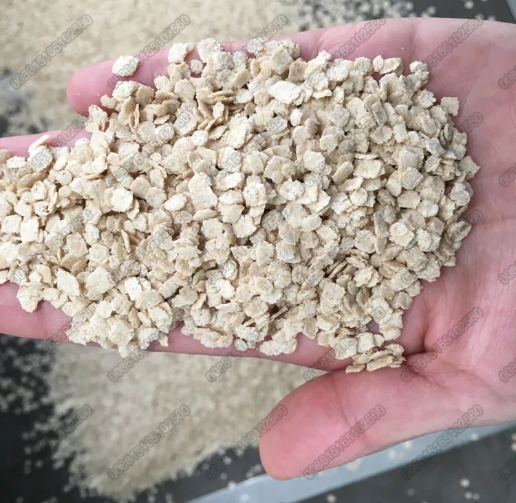 Cornflakes food crispy corn flakes breakfast cereals machine extruder manufacturing equipment unit