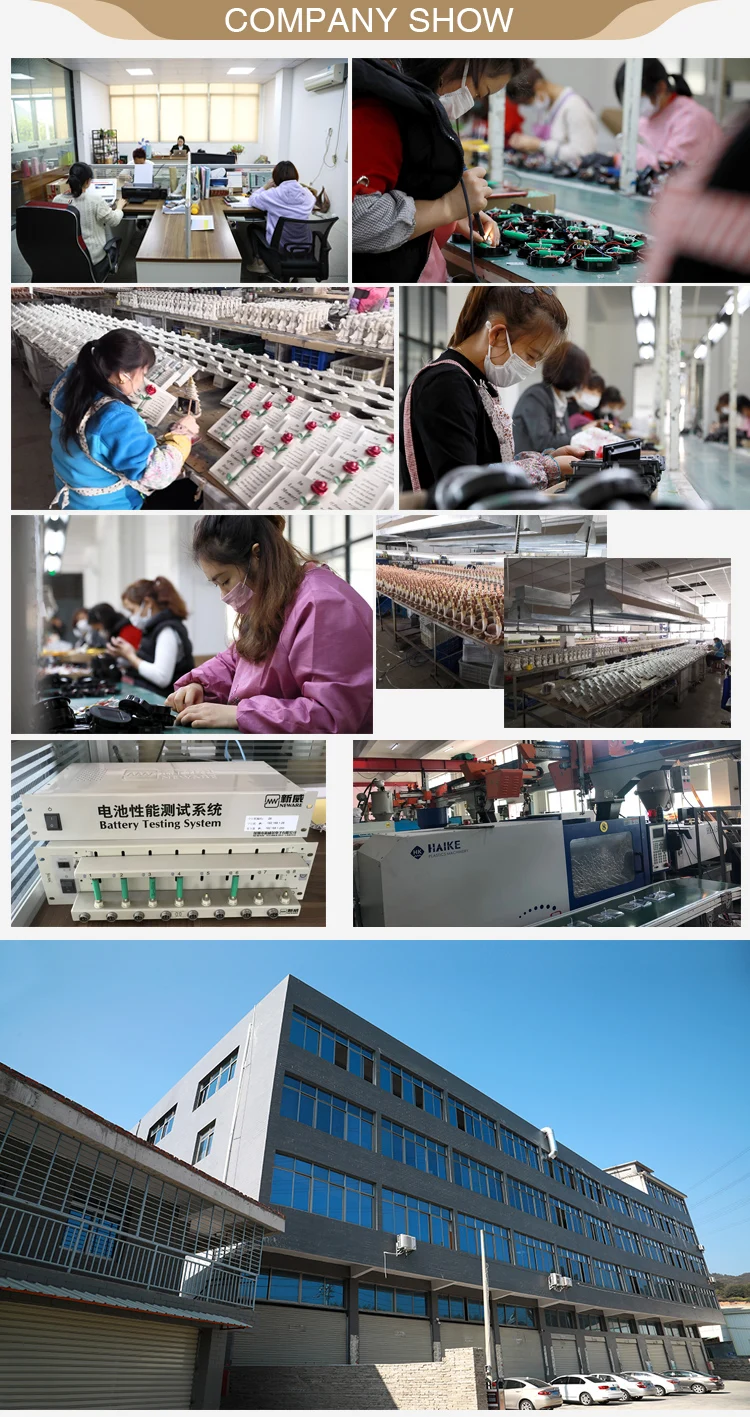 
Solar Bird Light Birdie Led Birds Peacock Lamp 3D Metal Parrot Sun Birdies Garden Floor Plant Animal Iron Glass Lights 