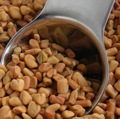 
High Quality Lu Ba Zi Seed 