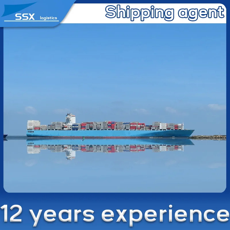 International logistics DHL FEDEX express shipping Air shipment door to door Freight forwarder China to Bulgaria Estonia