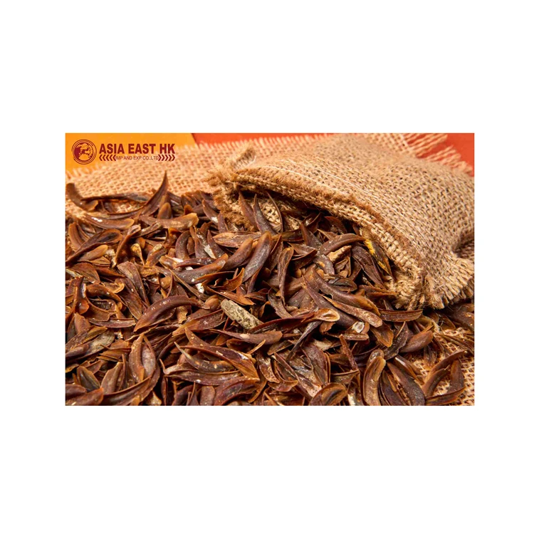 
High-quality direct sale cheap operculum shells milled seafood food shellfish dry goods 