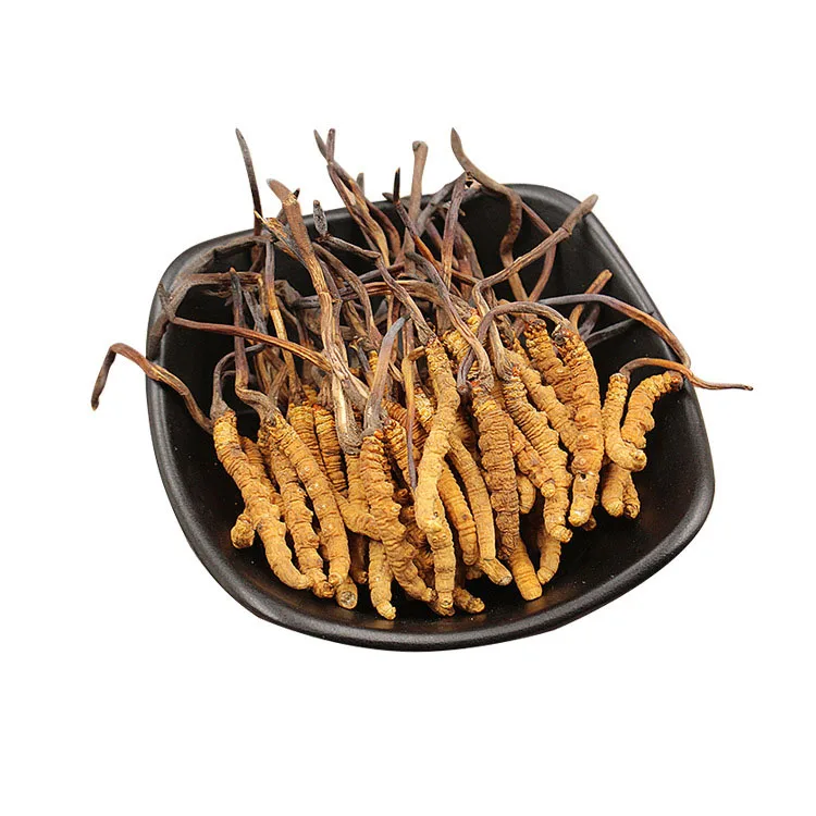 500g Tibet Whole Plant Cordyceps Natural Tiens 100% Herbal Cordyceps Sinensis