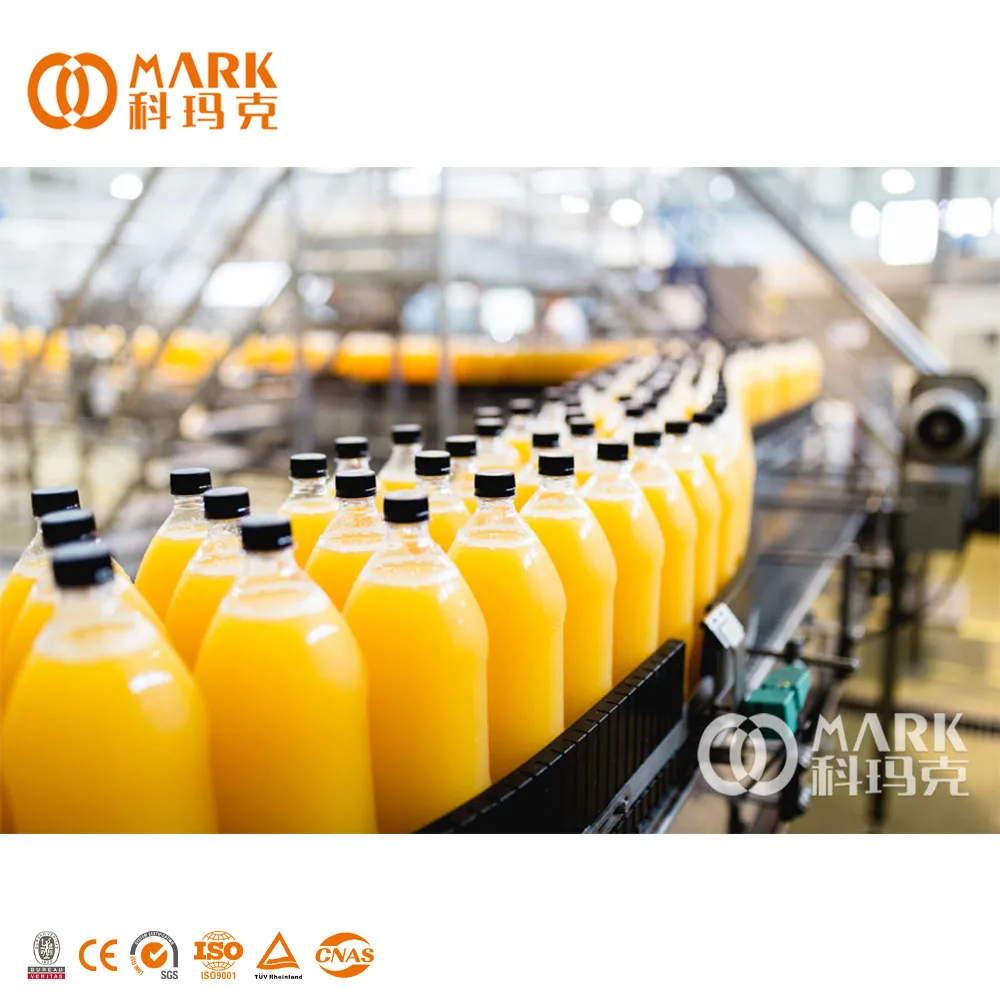 PET Bottle Dragon Fruit Mango Pineapple Fruit Juice  Processing Manufacturing Machine Juice Production Line