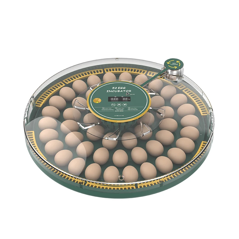2112 яйцо 12 В комбинированный нагреватель и вентилятор для мини Wonegg полностью 52 яйца автоматический инкубатор компьютерного управления