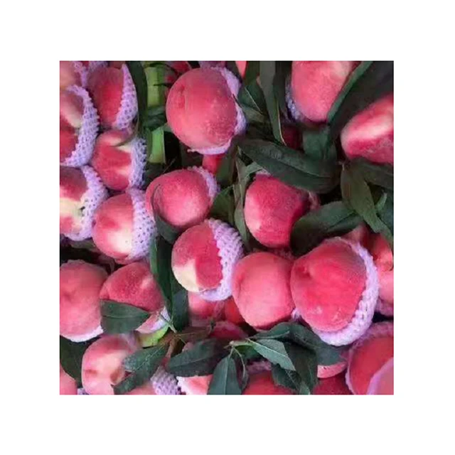 Лидер продаж, персиковый высококачественный Сладкий персик большой формы 70-85 мм