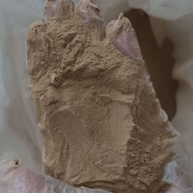 Корневища Bacillus megaterium улучшает урожайность и доход