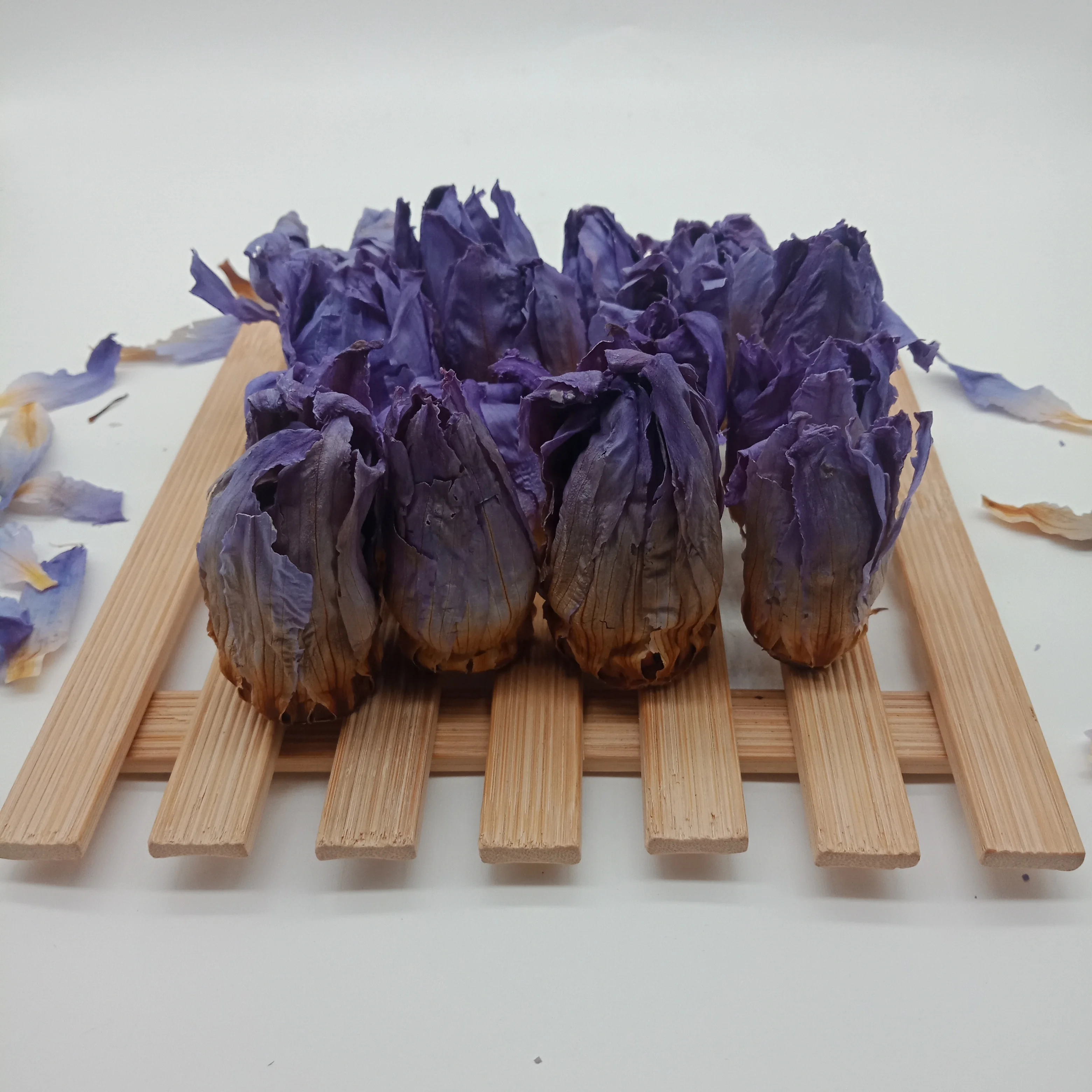 
4009 Lan lian hua famous Chinese traditional medicine blue lotus 