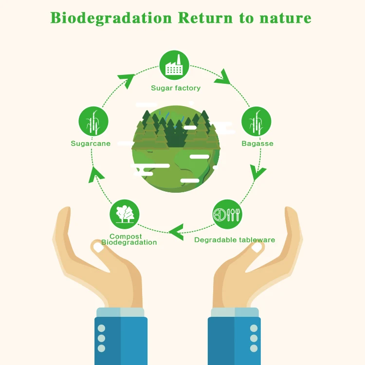 Биоразлагаемая посуда из багассы, термостойкие пищевые контейнеры для разогрева в микроволновой печи