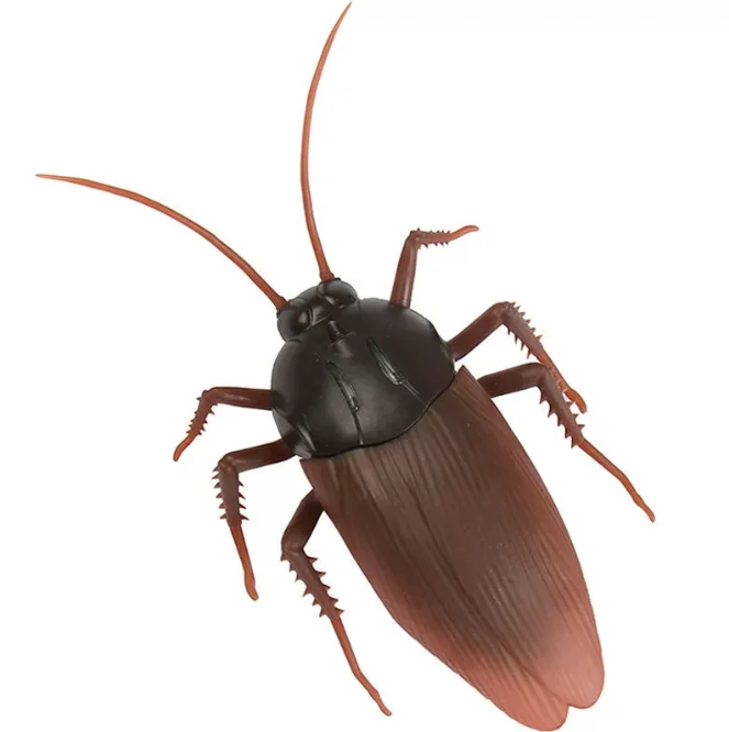 Electric Infrared Remote RC infrared remote control beetle insect toy for sale Animal Model Infrared Remote Control Insect Toy