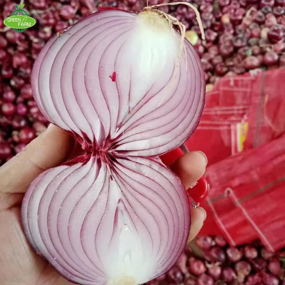 Onion Exporter Fresh Onion