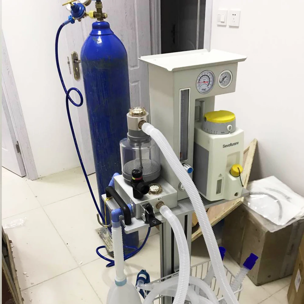 Superstar China Factory Supply ISO DM6C Portable Vet Anesthesia Machine With One Vaporizers For Animals Used in Clinics