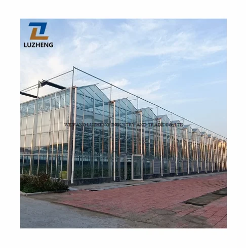 Agriculture Productive Multi-Span Glass Greenhouse with Hydroponic Drip Irrigation System for Tomato/Strawberry/Cucumber