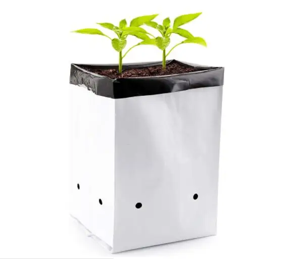 White/black plastic LDPE seeding bag for coffee tree