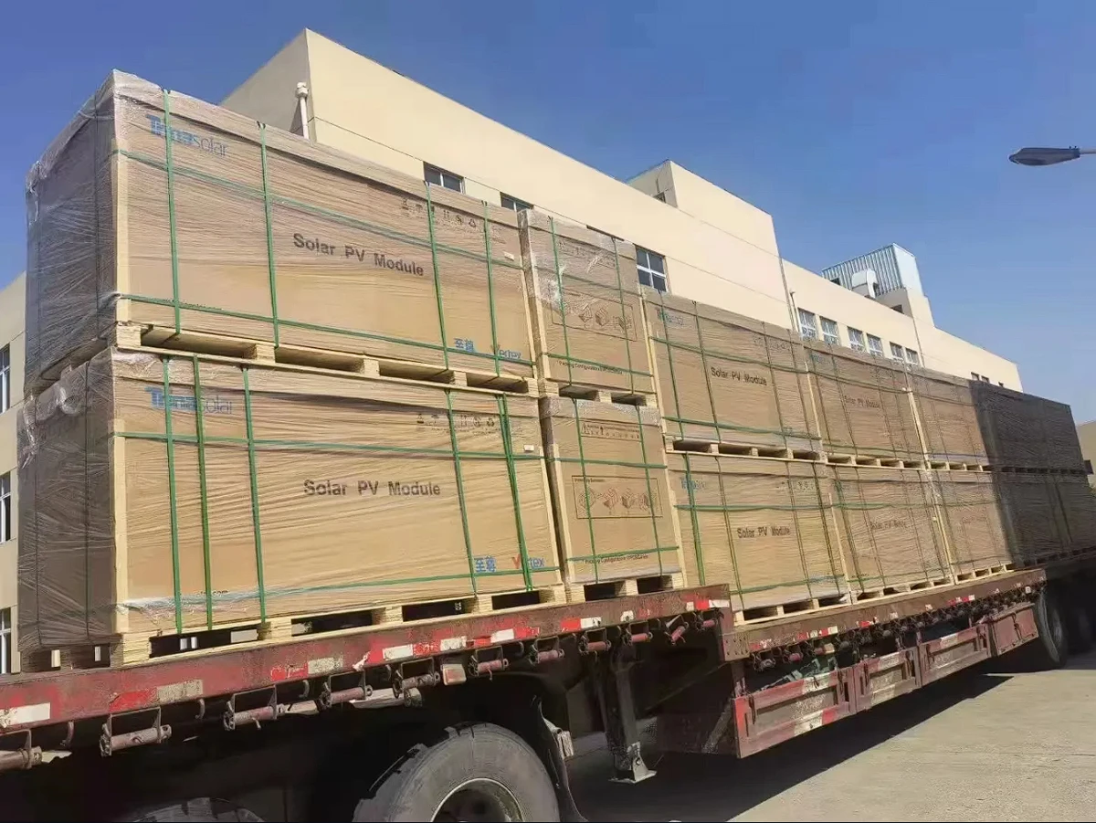 Trina Solar Vertex 550W Bifacial Dual Glass 210mm TSM-DEG19C.20 Half Cell PV Panels for Solar Energy System