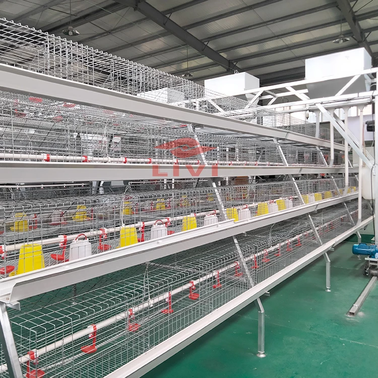 Popular Industrial Hot Galvanized 4 Tier A Type pullet cages Battery baby Layer Chicken Shed Cage For Reasonable Price