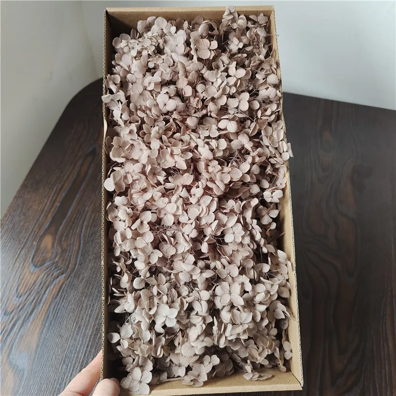 Anna Hydrangea Preserved Fresh Boxed DIY Flowers for Christmas Decorations Drop Glue Accessories