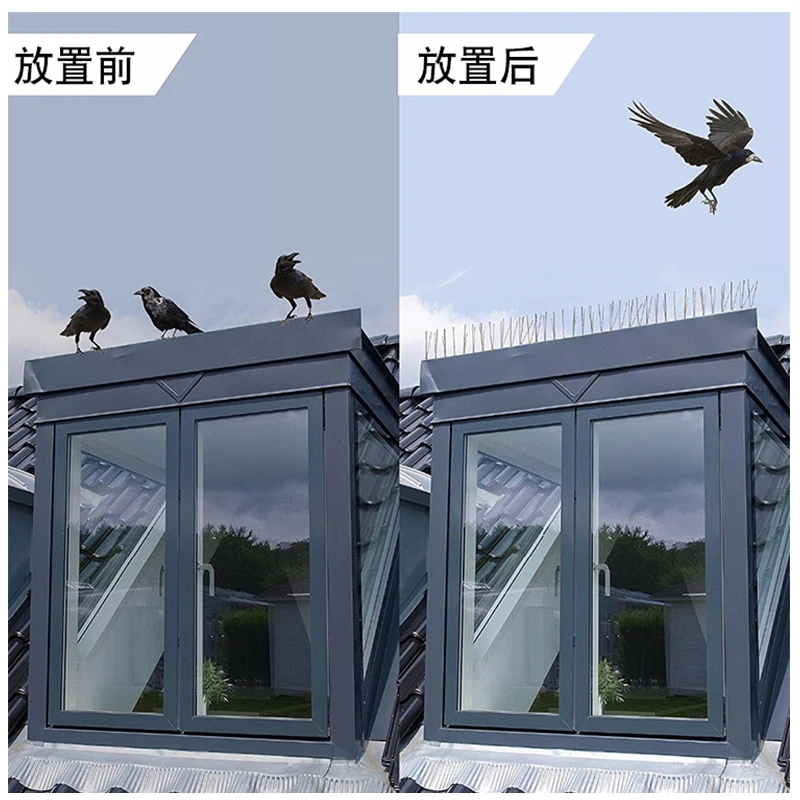  Bird Spikes for Pigeons Small Birds Cover 16 Feet Deterrent Stainless Steel Anti Fence Roof